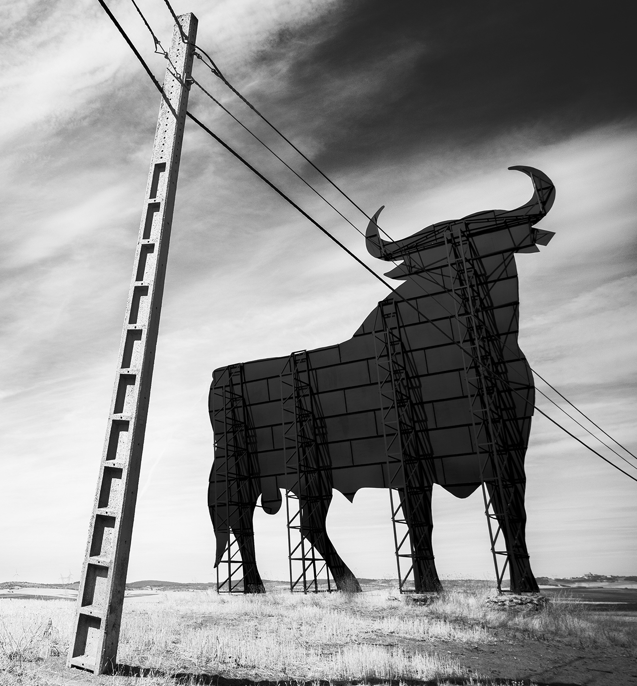 taureau d’Osborne (Toro de Osborne)